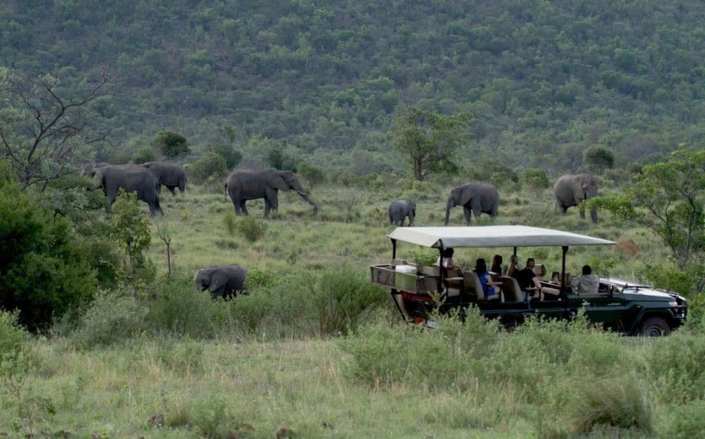 Inzalo Safari Lodge