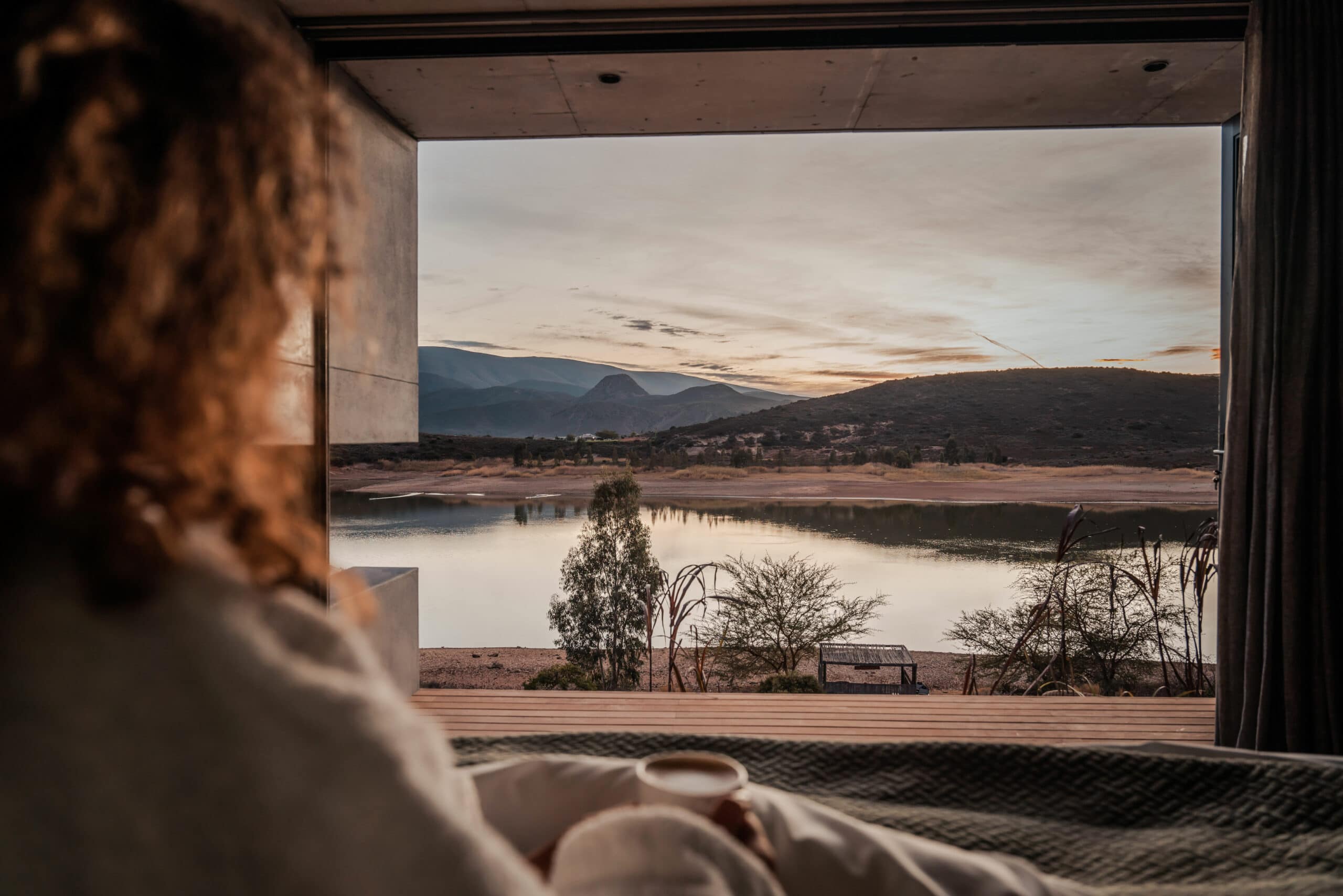 Hide | Montagu
