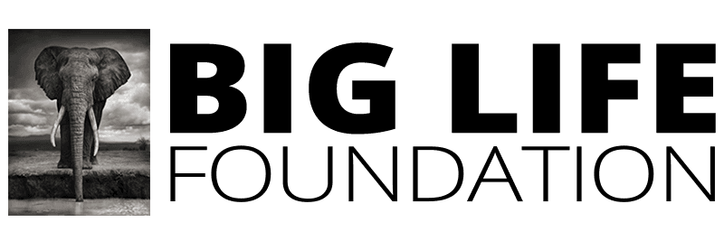 Big Life Foundation logo