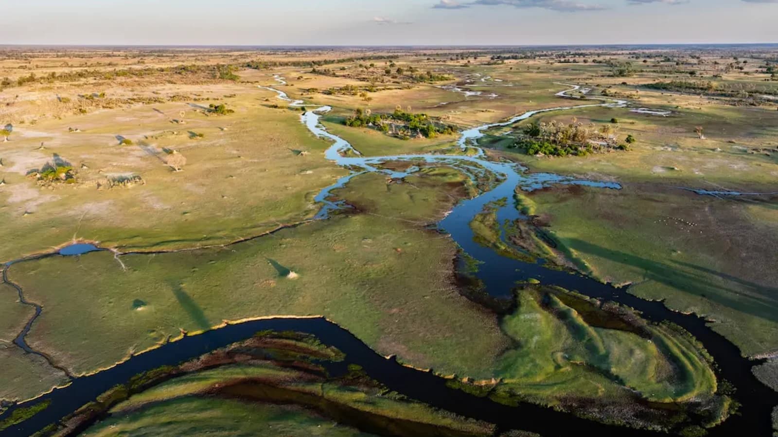 Planning a Botswana safari: the Okavango, Moremi, Khwai, Chobe and the pans