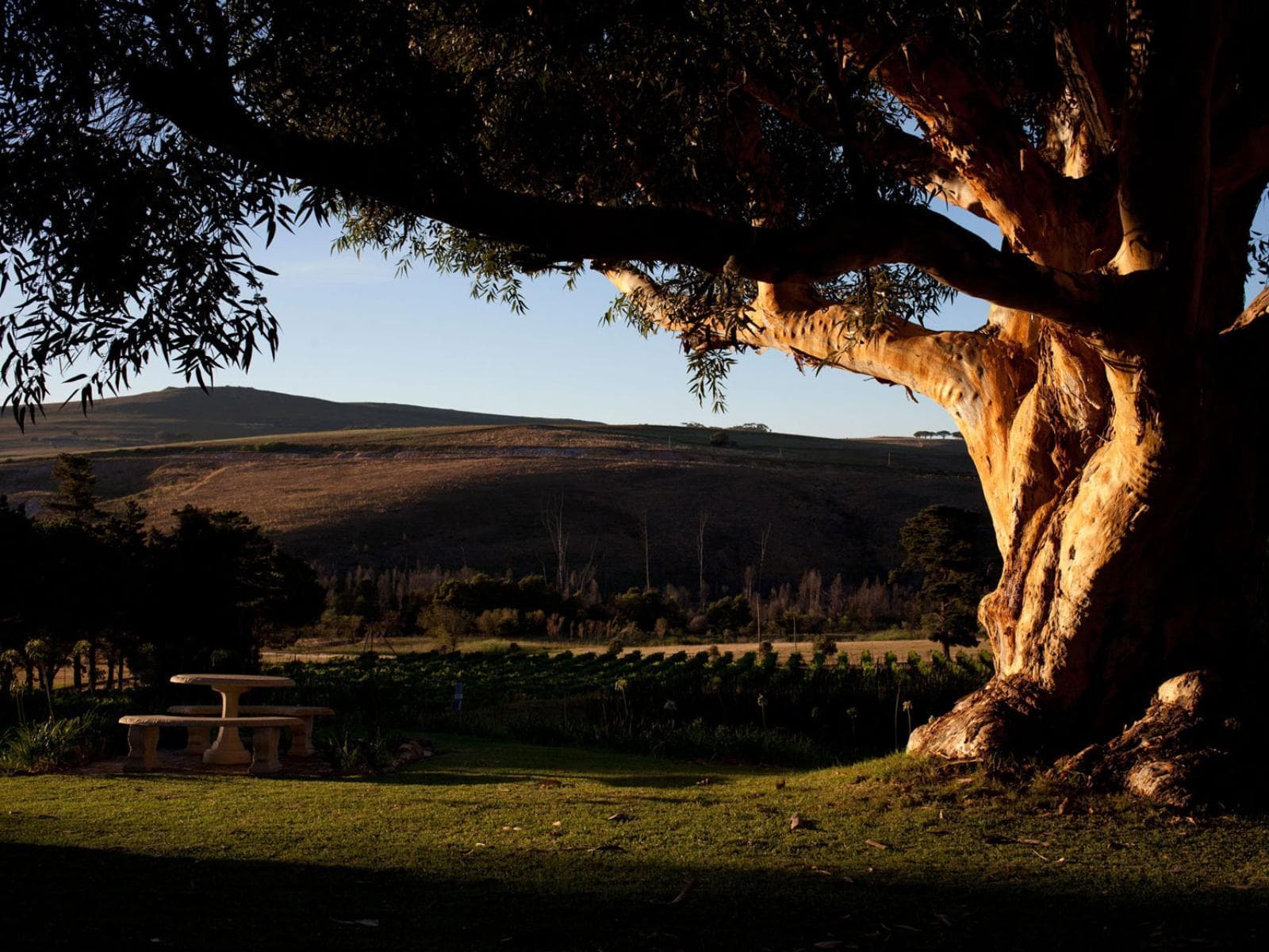Stanford, Western Cape