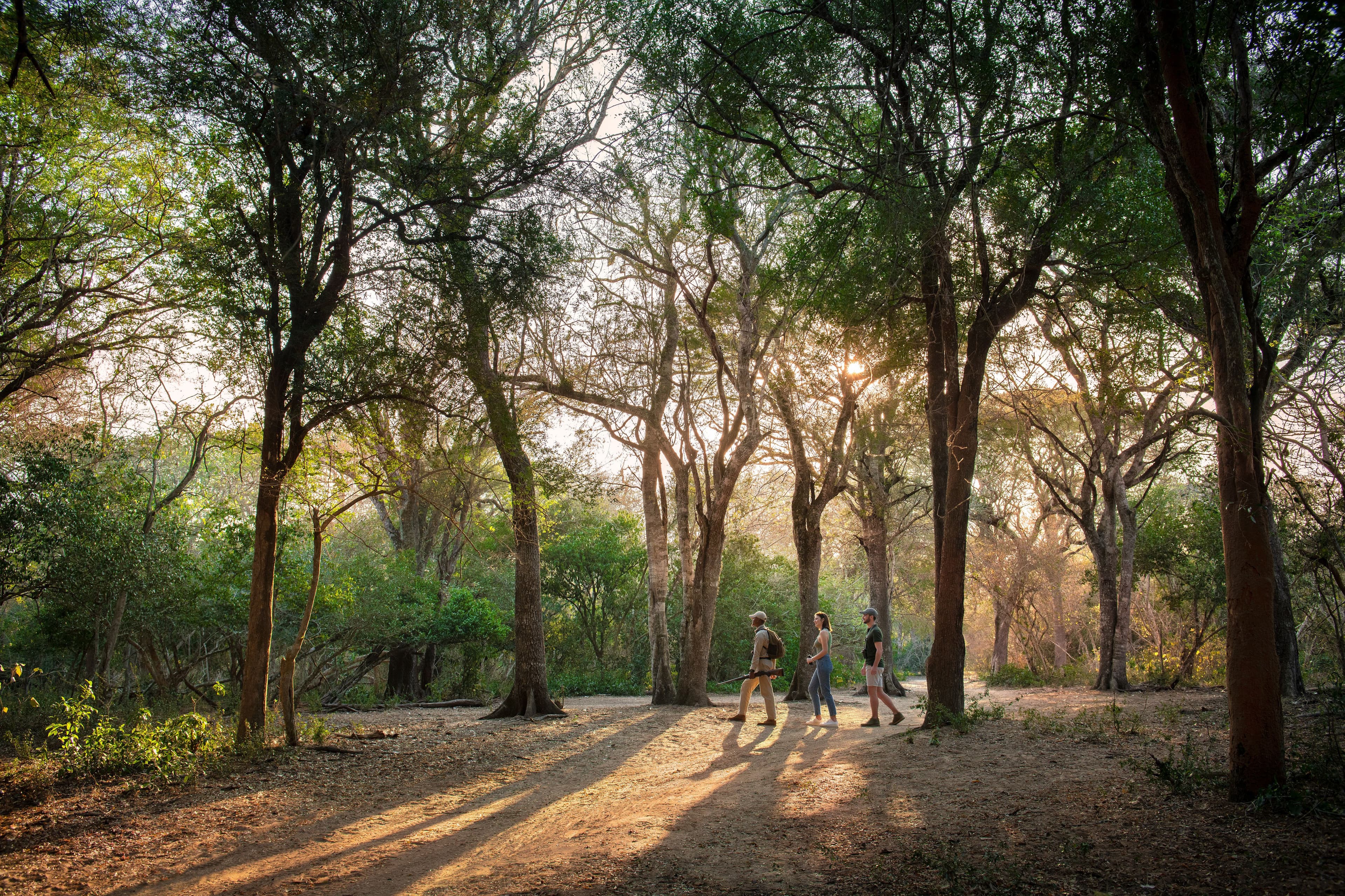 &Beyond Phinda Vlei Lodge