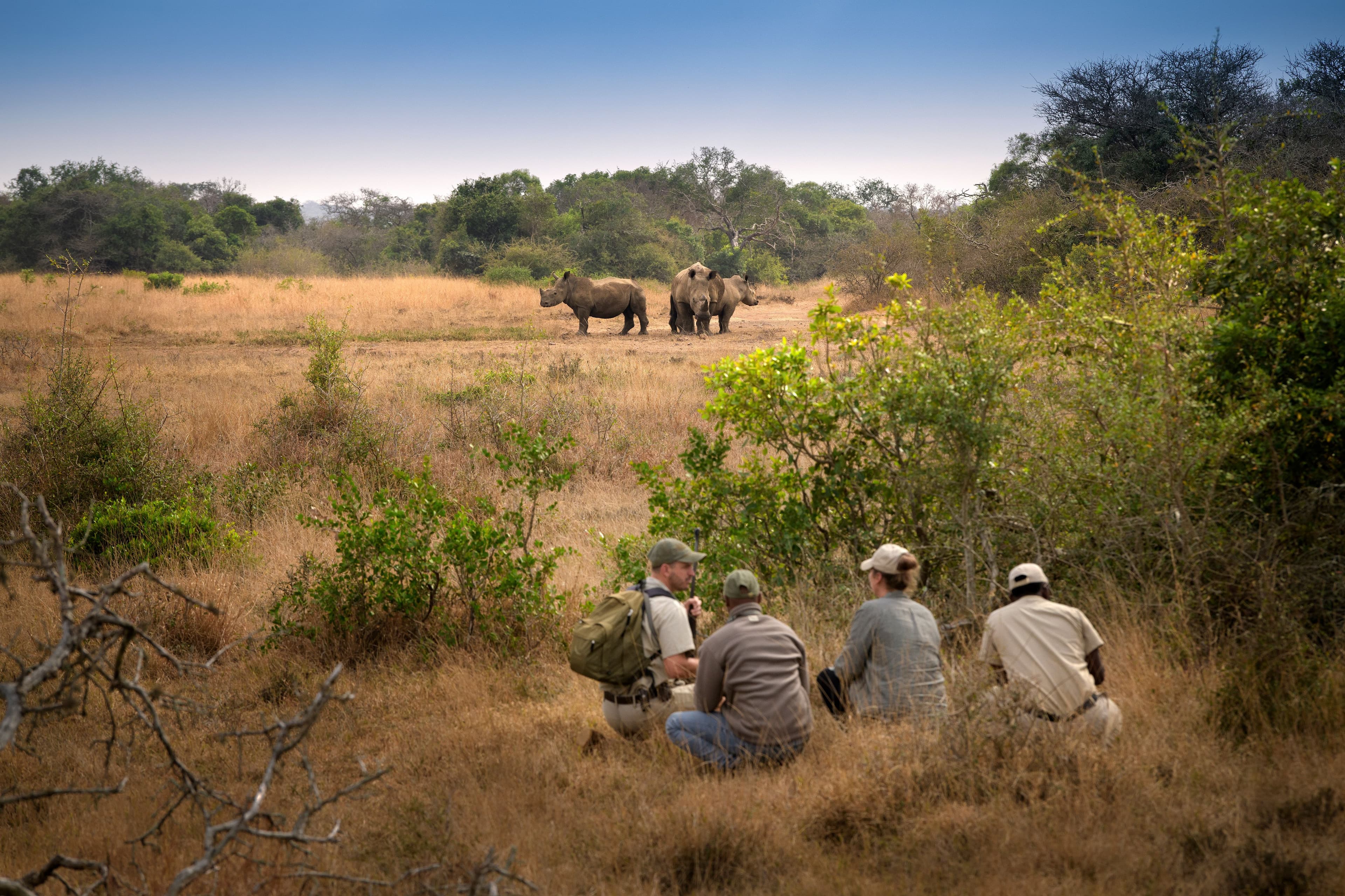 &Beyond Phinda Rock Lodge