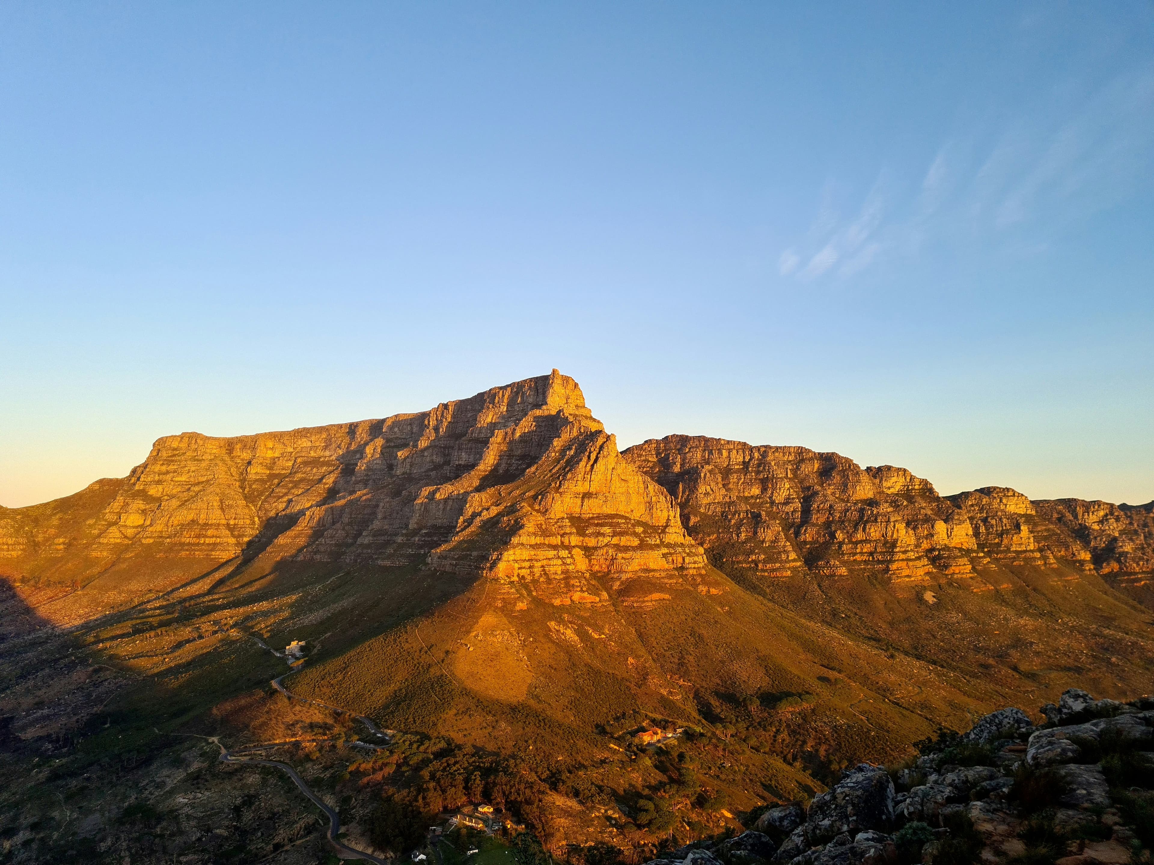 Friends of Table Mountain