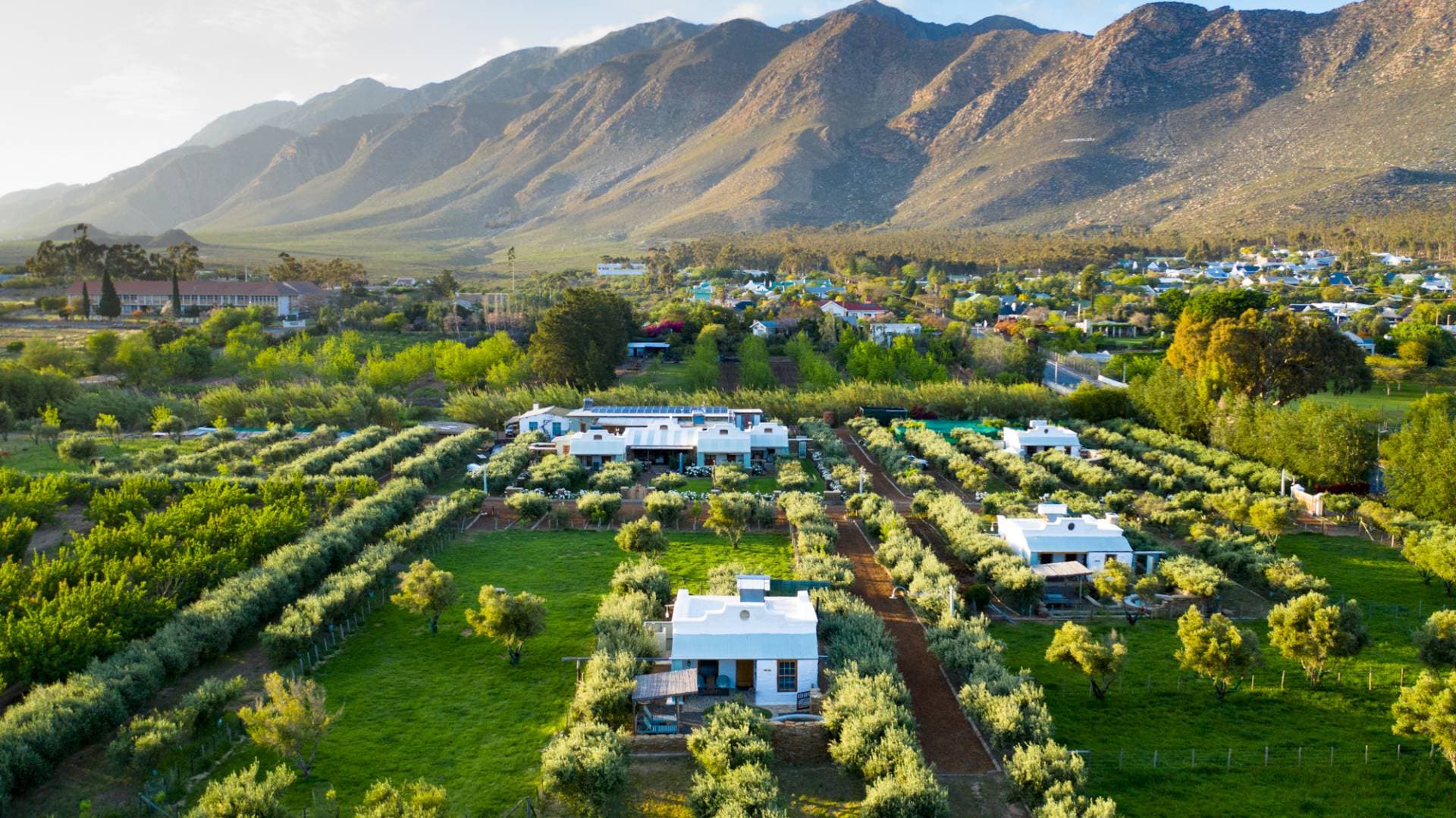 Olive Stone Farm and Cottages