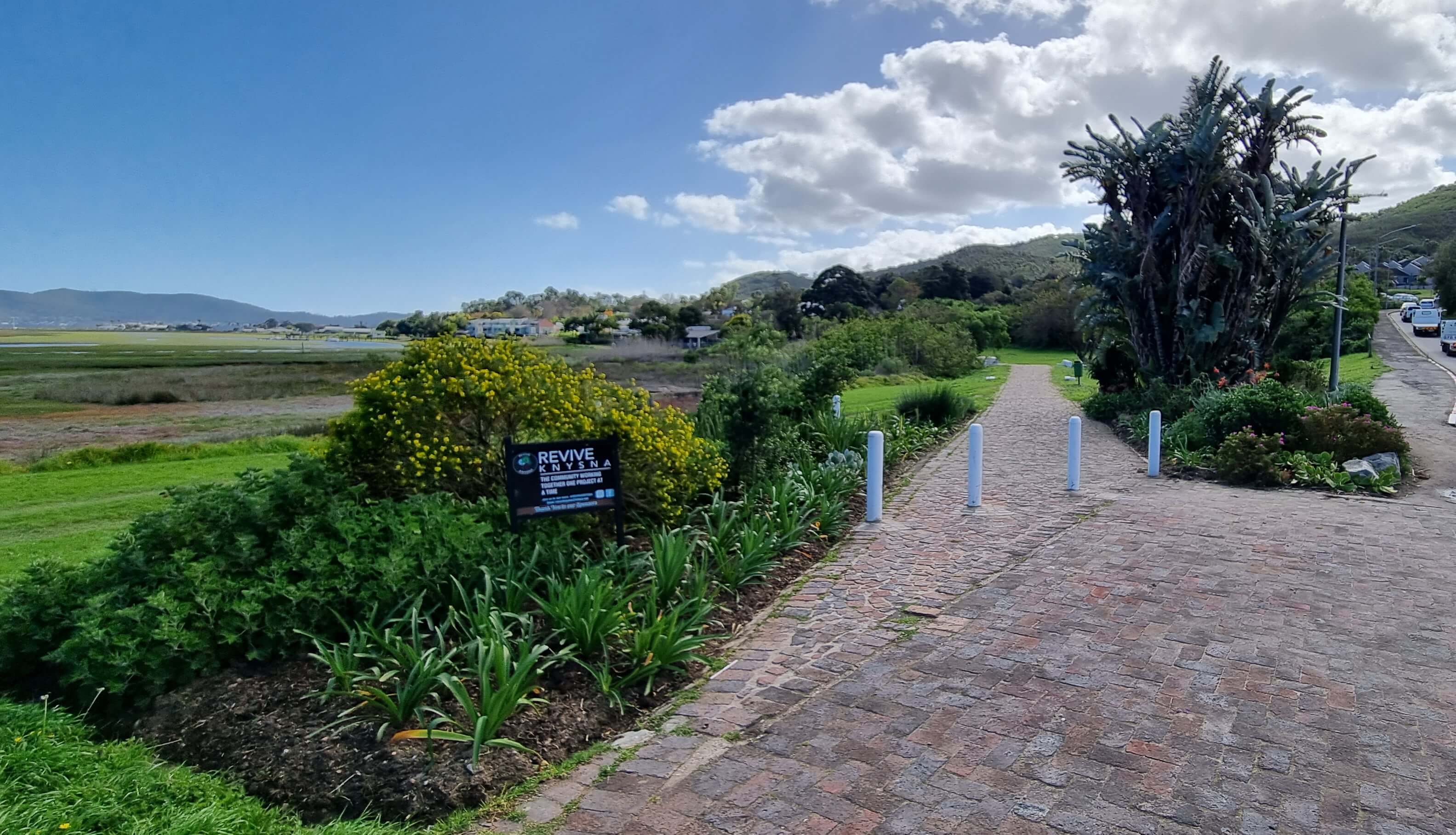 Revive Knysna