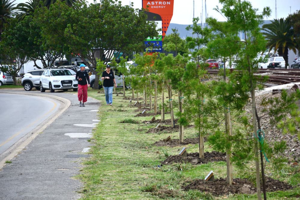 Plant a Tree, Leave a Legacy
