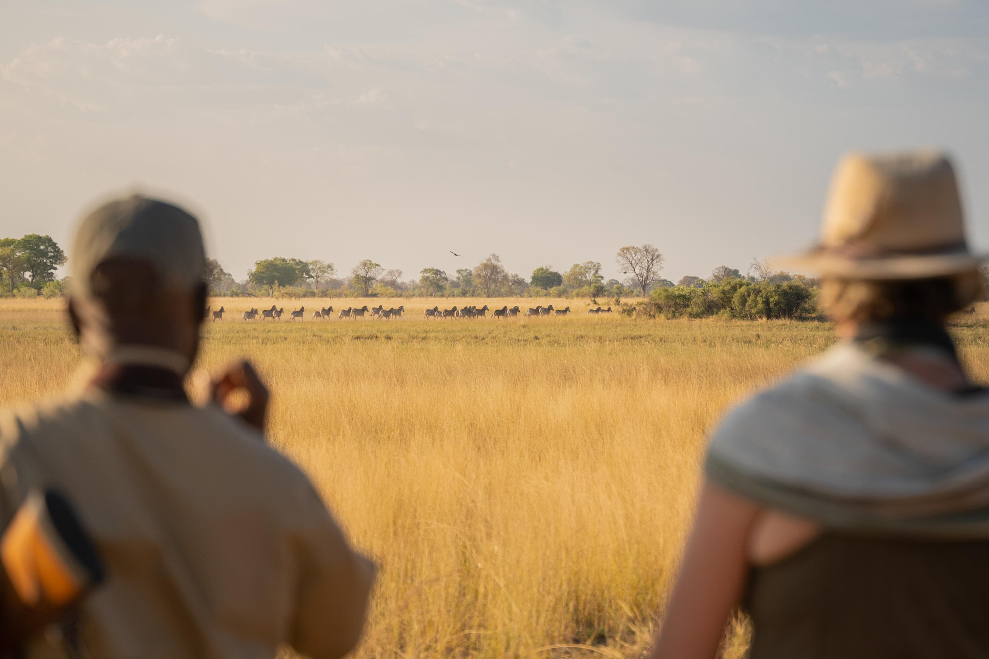 Karangoma in the Okavango Delta
